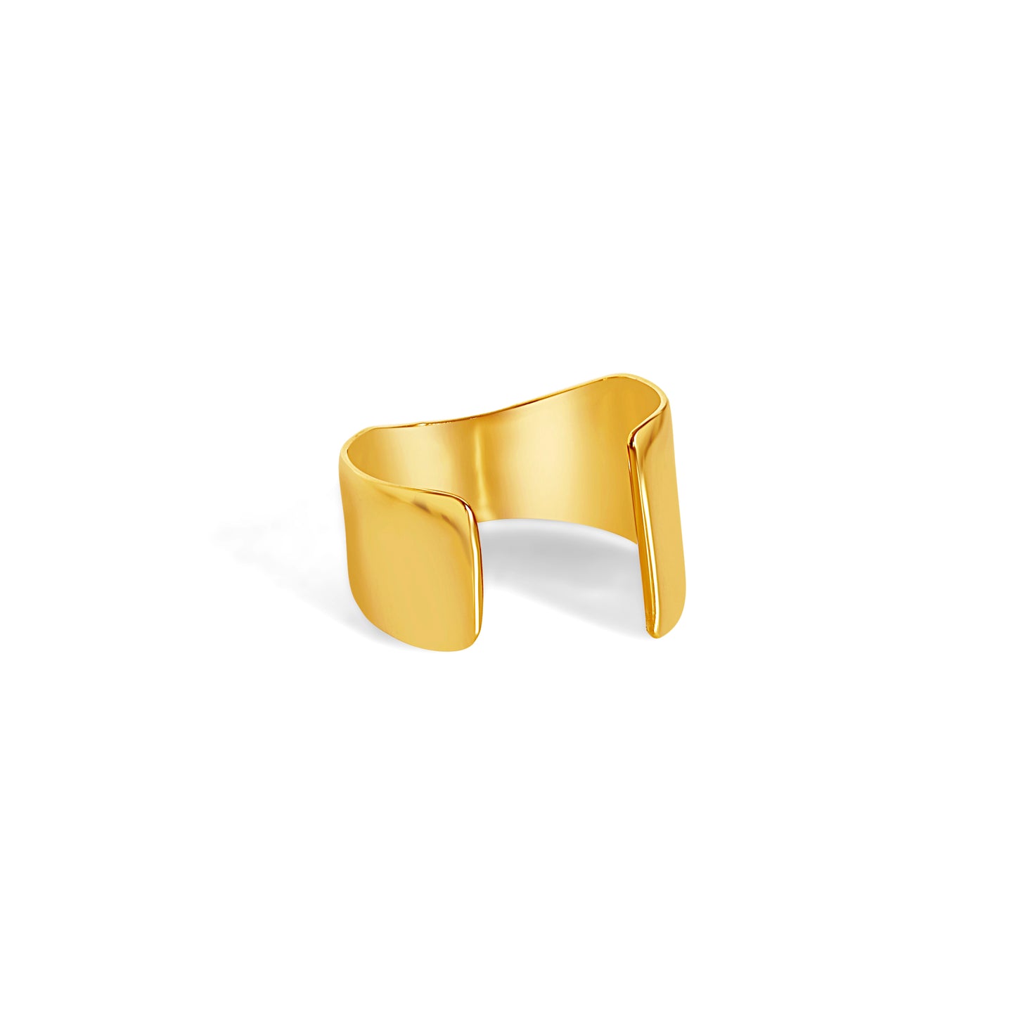 Juliet Angus x Anisa Sojka Curved Bangle